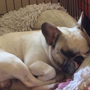 Meet your Posher, Linda